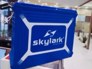 SkyLark Tubular 12Volts 220AH Battery